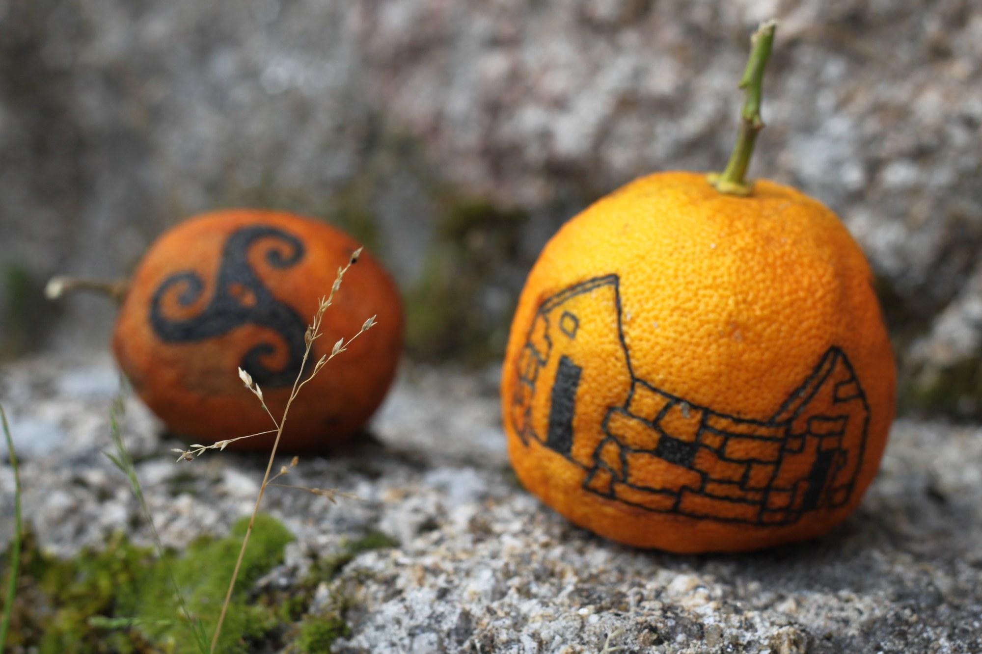 Naranjas en Anceu durante la residencia creativa